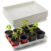 RooTrimmer 5-pack nursery tray top view for tidy seed starting and transport
