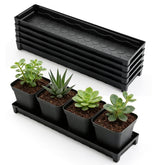RooTrimmer 5-pack window sill saucers neatly organize four 4-inch pots.