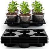 RooTrimmer 6-inch clear nursery pot front view shows root growth visibility.