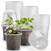 RooTrimmer 60-pack clear nursery pots with humidity domes for easy seedling monitoring.