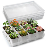 RooTrimmer clear seed starter trays top view, five-pack set ideal for seedling organization.
