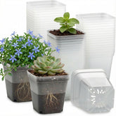 RooTrimmer clear square 4-inch pot with drainage holes for easy moisture monitoring.