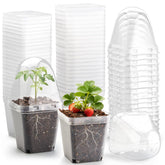 RooTrimmer humidity dome on a 2.7 inch square pot for seed starting