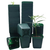 RooTrimmer square nursery pot set in a 90-pack for seed starting and propagation.