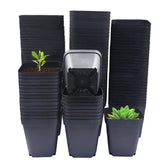 RooTrimmer square 3in black pot with drainage holes for seed starting.