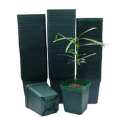 RooTrimmer square seedling pot 3.15 inch top view, ideal for compact starts.
