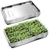 RooTrimmer stainless steel seedling tray showing no holes for moisture control and seed starting