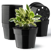 RooTrimmer 6-inch pot with saucer in front view for tidy indoor planting.