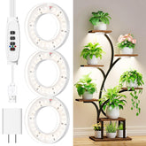 RWNTAO ceiling grow light angel ring over a small succulent setup for compact spaces
