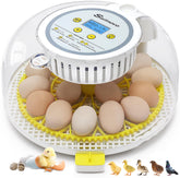 Sailnovo 18-egg incubator front view for compact classroom use.