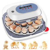 Sailnovo 24-egg incubator front view highlights beginner-friendly controls for easy setup