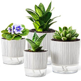 Samhe self-watering pot 4-inch exterior view for indoor spaces.