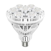 SANSI grow light full spectrum 4000K brightens indoor seedlings for healthy early growth