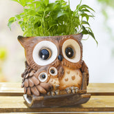 Saysmile owl rocking chair planter shown on a sunny windowsill for indoor decor