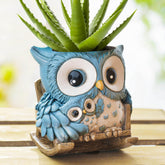 Saysmile unique owl pot on a rocking chair adds whimsical charm to any room