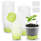 Sckee clear nursery pots show soil moisture and roots for healthy seedlings.