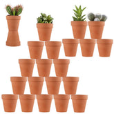 Sderoq 3-inch terracotta pot with drainage hole for healthy succulent roots.