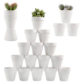 Sderoq 3-inch terracotta pot showing drainage hole for healthy plants