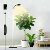 SDOVUERC full-spectrum grow light with ring-design enhances decor and plant health