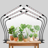 SDOVUERC Tri-Heads grow light setup with adjustable heads for indoor seedlings.