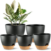 SE SUN-E self-watering planter set, front view, enhances indoor plant arrangement.
