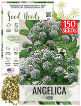 Seed Needs Angelica seeds packaging with sowing tips for easy planting.