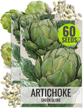 Seed Needs Artichoke seed in a green-globe plant ready for fresh homegrown buds.
