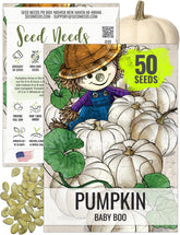 Seed Needs Baby Boo pumpkin seeds pack front for easy home gardening with non-GMO heirloom seed.