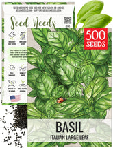 Seed Needs Basil Seeds Italian Large Leaf Pack for thriving indoor herb gardens.