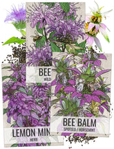 Seed Needs Bee Balm Wild Bergamot seed packet guides butterfly-friendly planting.