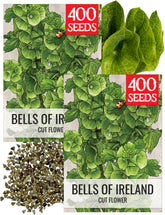 Seed Needs Bells of Ireland seeds pack cover with heirloom art illustration, ideal for gifting