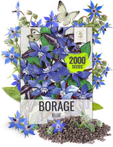Seed Needs Blue Borage seeds sprout to deep blue star blooms attracting pollinators