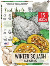 Seed Needs Blue Hubbard squash seeds pack for home gardening and long storage.