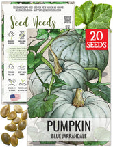Seed Needs blue jarrahdale seed packet art highlights planning and gifting
