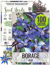 Seed Needs Borage seeds packaging illustration with sowing instructions for home gardens.