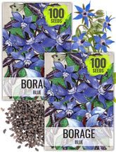 Seed Needs Borage seeds ready for planting with blue star blooms to attract pollinators.