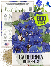 Seed Needs California Bluebell seed packet artwork showing vibrant blue bells for spring color