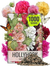 Seed Needs Carnival Hollyhock blooms create a tall colorful backdrop for cottage gardens.