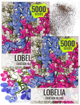 Seed Needs Cascade Mix Lobelia seeds packet art ready for garden planning.