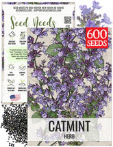 Seed Needs Catmint seed pack front with Nepeta mussinii illustration for easy planting.
