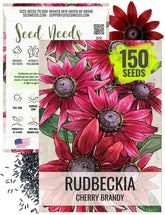 Seed Needs Cherry Brandy Rudbeckia seed packet ready for border planting and mass displays.