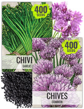 Seed Needs chive seeds packaging front with herb illustration for easy sowing.