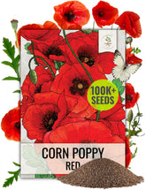 Seed Needs corn poppy seeds ready for direct sowing in sunlit beds.