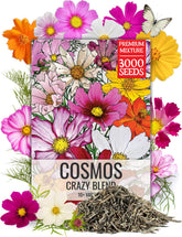 Seed Needs Cosmos Crazy Blend seed packet front showing open-pollinated varieties for vibrant color