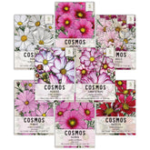 Seed Needs cosmos wildflowers collection showcases eight colorful varieties for a vibrant butterfly garden.