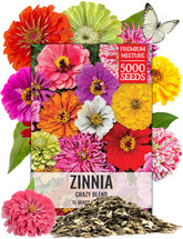 Seed Needs Crazy Zinnia Seed Mix collection with vibrant colors for borders and bouquets