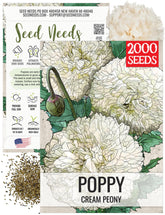 Seed Needs creamy-white peony poppies bloom, ideal for elegant borders and butterfly gardens.
