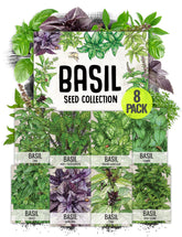 Seed Needs culinary basil collection packet front with illustrated varieties for easy selection.