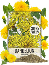 Seed Needs dandelion seed packet front, ideal for starting a home garden