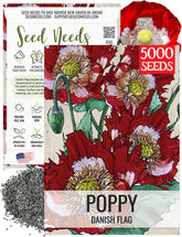 Seed Needs Danish Flag Poppy bloom shows red petals with a white cross for vibrant garden color.